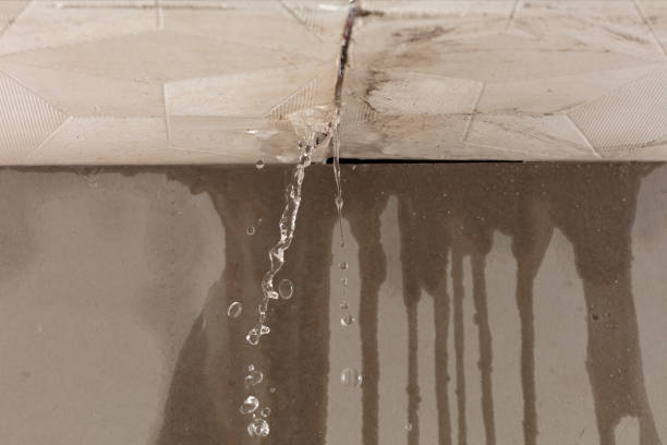 Professional Structural Drying technician working in Vaughan, MS